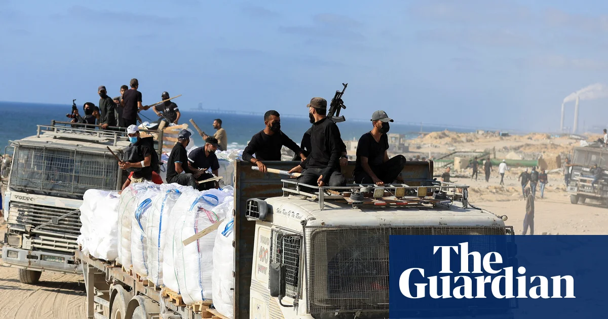 Convincing evidence Israel backed aid convoy looters in Gaza, historian says