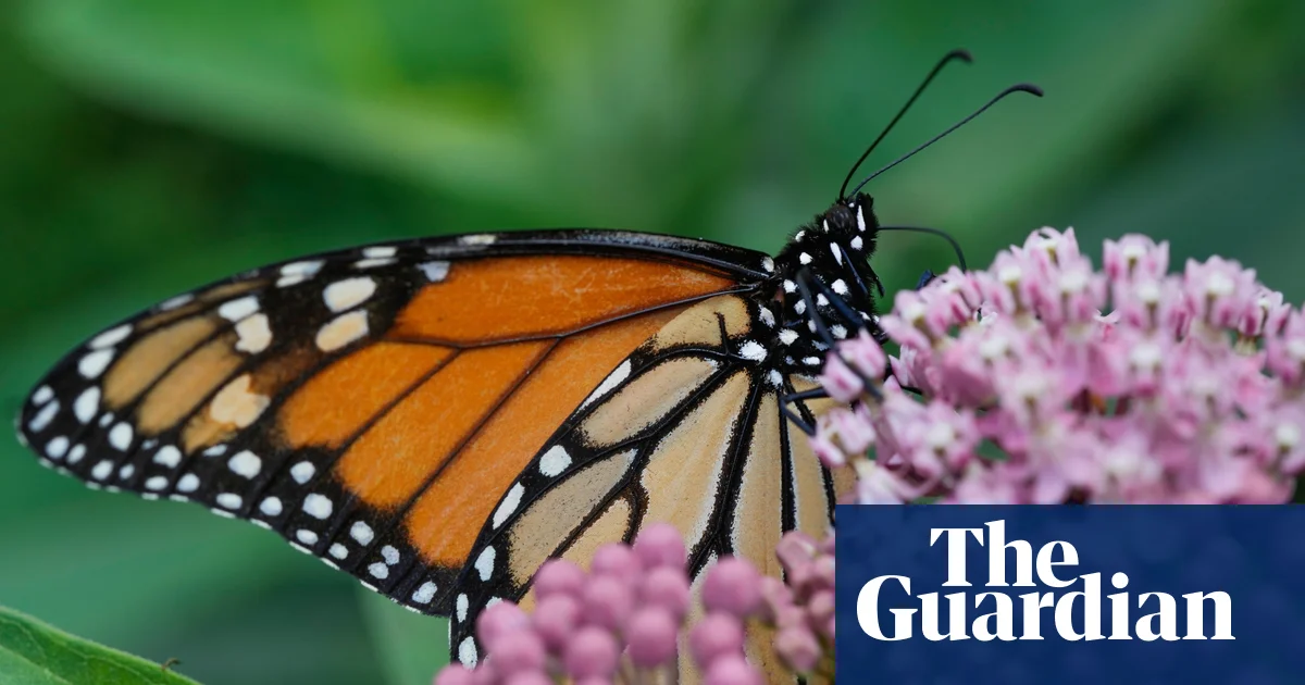 Trump officials reveal plan to roll back regulations in Endangered Species Act