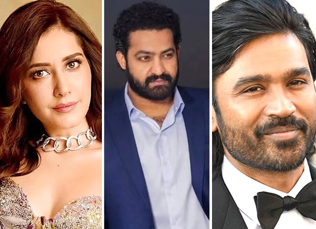 Raashii Khanna gets candid on working with Jr NTR, Dhanush and other south actors: “They taught me everything”