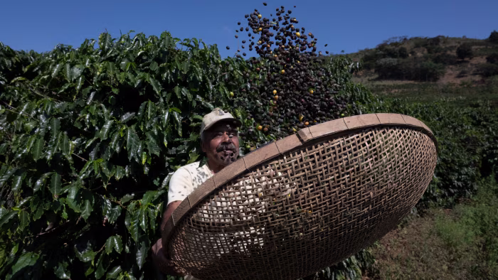 Trump lifts 40% tariff on some Brazilian food products