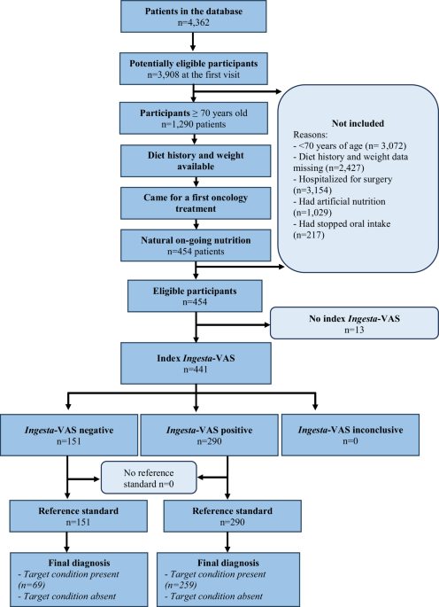 Screening for reduced food intake in 2 minutes: validation of the ingesta verbal analogue scale in medical geriatric oncology