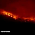 Arpora nightclub fire kills 25; CM orders inquiry, manager arrested