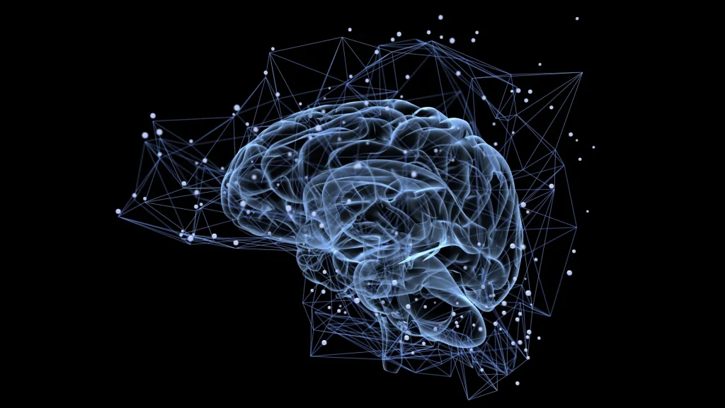 brain-memory-thought-process.webp.webp