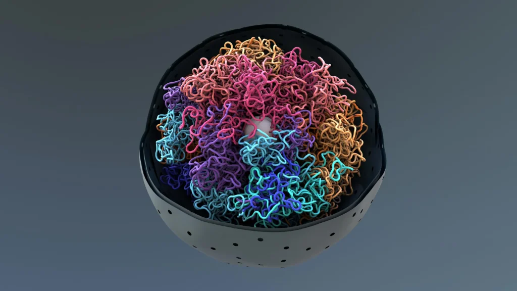chromosomes-dna-cell-nucleus.webp.webp