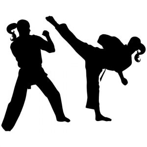 martial-arts-karate-girl-2552-13814-550x550-1.jpeg
